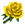 Sárga rózsa.png