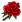 Vörös rózsa.png