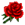 Vörös rózsa.png
